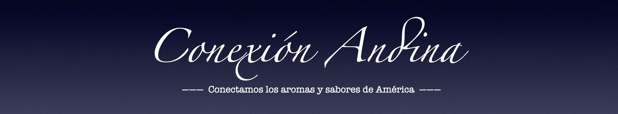 Logo Conexcion Andina